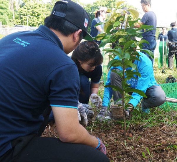 Coway Staffs Planting Trees at Sungai Bunus