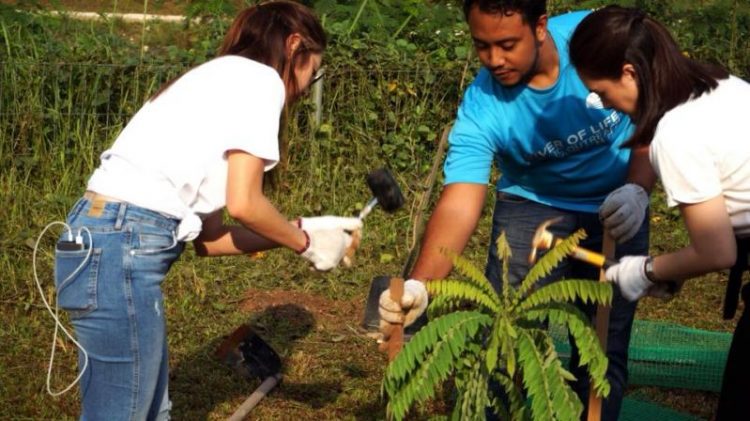 Bunus River Tree Planting Session with Vanke Holdings (M) Sdn Bhd Volunteers