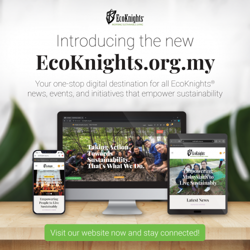 New EcoKnights Website